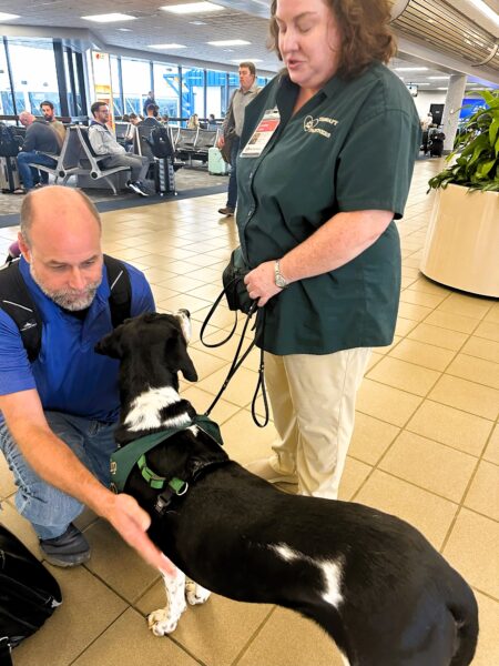 Photo of a passenger petting Philip the therapy dog with his Therapy Partner, Lyndsay.